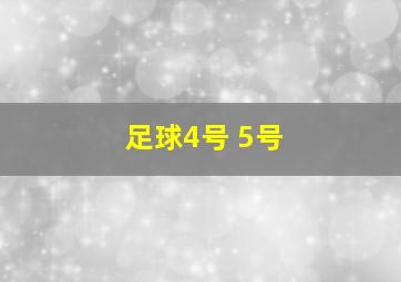 足球4号 5号